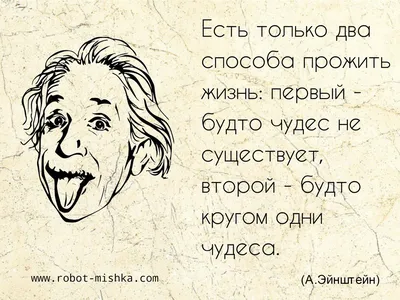 Елизавета Рождественская - Чудеса случаются - Читать книгу в онлайн  библиотеке