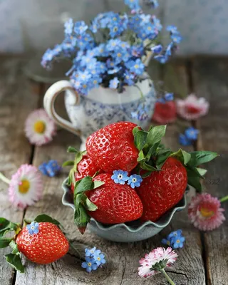 И Счастье есть...и Чудеса случаются» | ВКонтакте | Beautiful flowers  wallpapers, Fruits images, Beautiful flowers