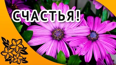 БЕРЕГ СЧАСТЬЯ ❤️ КРАСИВЫЕ ПЕСНИ ДЛЯ ДУШИ - YouTube