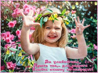 Научитесь видеть хорошее в своей жизни! Позитив - залог здоровья 💝👍🌹 # позитив #позитивноемышление #счастье #здоровье | Instagram