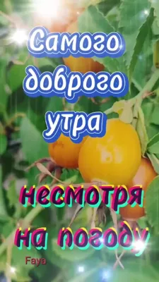 Вам: Друзья,Счастья Вам и Любви! CЧАСТЬЕ(GIF)