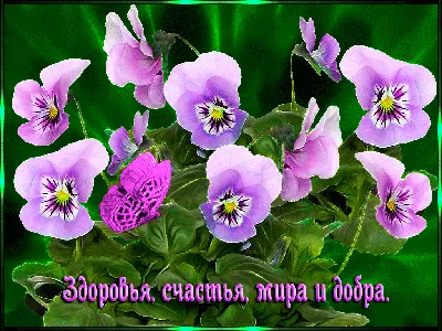 Фильм «Счастья! Здоровья!» 2018: актеры, время выхода и описание на Первом  канале / Channel One Russia