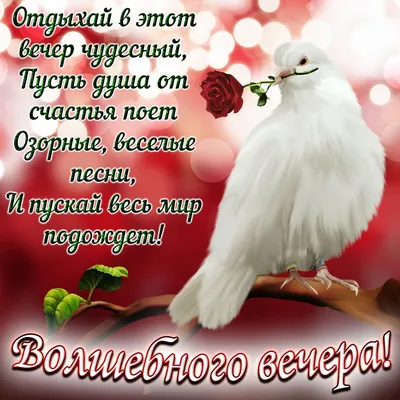 Пожелание счастья и мира вашему дому🏠🥰💝🌹🌹🌹🙏🙏🙏❤️ | TikTok