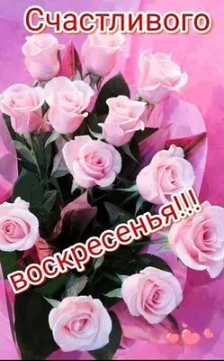 Открытка - Счастливого воскресенья! #открытка #пожелания  #пожеланиесчастливоговоскресенья #картинка | Цветок, Счастливое воскресенье,  Цветочные корзины