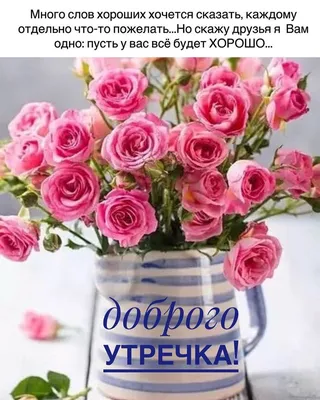 Марина Алекминская в Instagram: «Счастливого воскресенья!💐💐💐» | Счастливое  воскресенье, Доброе утро, Позитивные цитаты