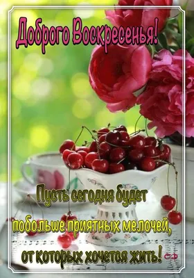 ВОСКРЕСЕНЬЕ! 🌸🦋🌿🌺💐🦋🌸 ДОБРОЕ УТРО! 🍒 УДАЧНОГО ДНЯ! 🍒 | Открытки,  Воскресенье, Утро воскресенья