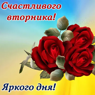 🌹Удачного Вторника! С добрым утром! 🌹☕🌹💖