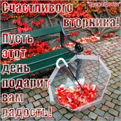 🍓Счастливого Вторника!🌹❤️💋💖 | С днем рождения, Открытки,  Утренние цитаты