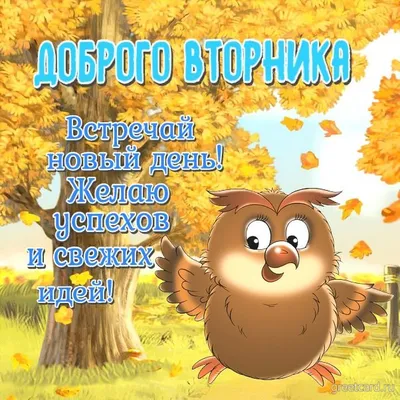 Картинки "Доброе утро. Вторник" (779 шт.)