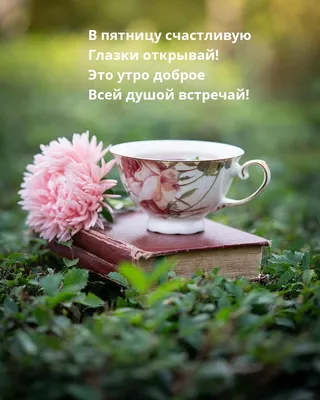 Диля Ходжаева on X: "@ValentinaShim Точно! Доброго утра, легкой пятницы  родная!😘☕🙏🤣 /yWAymHy0q0" / X