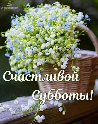 Счастливой Субботы! 🌻🦋🌻🌼🌻 | Субботы, Доброе утро, Лето