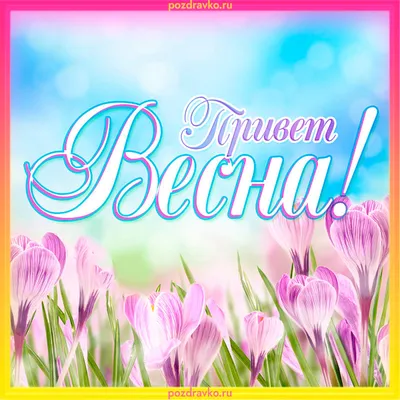 Ежедневник. Моя счастливая весна. Обновление. Красота. Любовь, Ванда Вуд –  слушать онлайн или скачать mp3 на ЛитРес