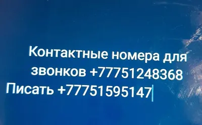 Сдам квартиру Славянам – это не расизм | Сайт психологов  | Дзен