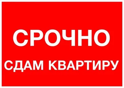 Сдам квартиру картинки