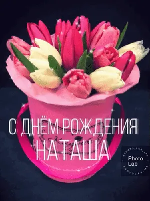 С Днем Рождения, Наташа! - Дом-приют "Лохматые судьбы"