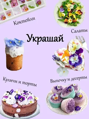 Съедобные цветы, украшение для торта, фиалки Кондитерский Мир 16961931  купить в интернет-магазине Wildberries