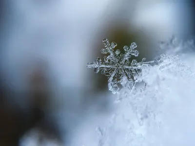 Сегодня день сыновей, у кого есть …» — создано в Шедевруме