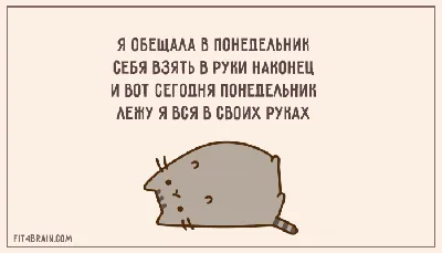 Ненавижу понедельник! - Сегодня же среда. - Ненависть не утихает! –  популярные мемы на сайте  | Веселые картинки, Рабочие приколы,  Смешные открытки