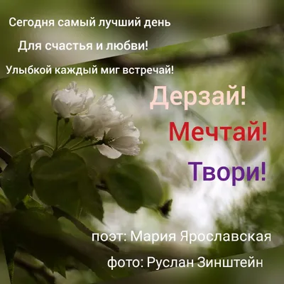 Сегодня самый лучший день.....