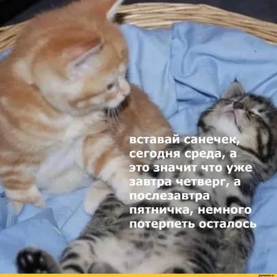 Сегодня, 4 октября, в  в эфире ОТВ: «Муниципальная среда» с  начальником управления сбыта КГУП «Приморский экологический оператор» – ПЭО  – Приморский экологический оператор