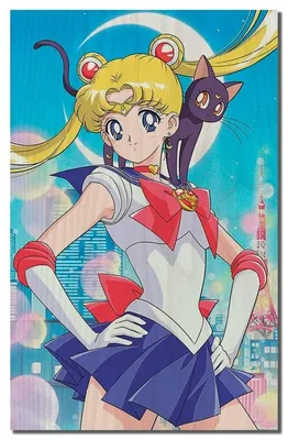 Картина интерьерная на дереве Аниме Сейлор Мун Sailor Moon - 7618 В —  купить в интернет-магазине по низкой цене на Яндекс Маркете