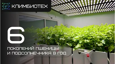 Фото: Плодово-опытный Питомник растений Макс, селекция и семеноводство —  Яндекс Карты