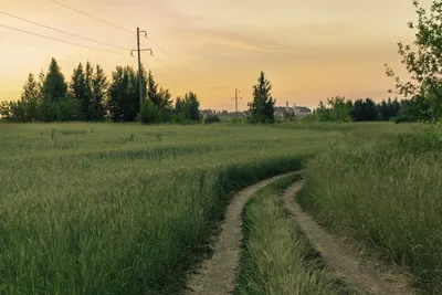 Сельский пейзаж с деревянной церковью | Фотограф Александр Светогор | Фото  № 40162