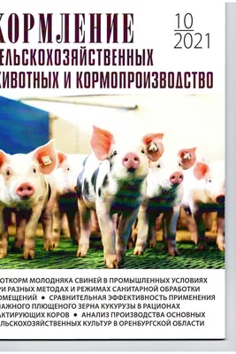 Россия полностью обеспечена лекарствами для сельскохозяйственных животных и  домашних питомцев | Ветеринария и жизнь