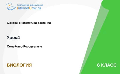 Рабочий лист по теме "Семейство Розоцветные", 6-7 класс