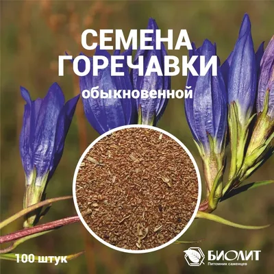 Горечавка обыкновенная. Семена купить