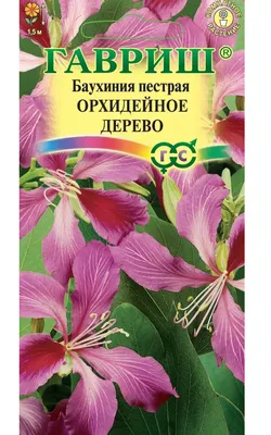 Семена Гавриш Орхидейное дерево баухиния, - отзывы покупателей на Мегамаркет