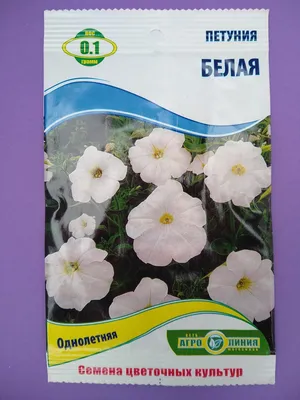 Семена цветов Петуния белая 0,1 грамм (ID#10429921), цена:  грн, купить  на 
