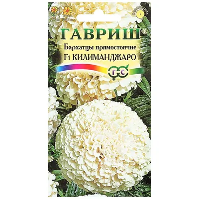 Семена цветов Гавриш Бархатцы прямостоячие, тагетес, Килиманджаро F1,   г купить в Дмитрове