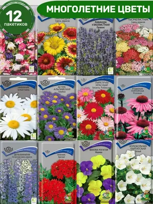 Семена цветов многолетних для сада Семко 162298079 купить за 302 ₽ в  интернет-магазине Wildberries