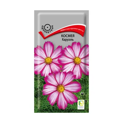 Семена цветов Малопа "Беляна" купить по цене 45 ₽ в интернет-магазине  KazanExpress