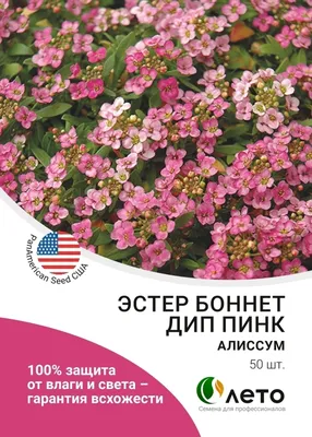 Семена цветов ПОИСК Космея Сенсация красная, 0,3 г - продажа в  интернет-магазине Домовой | Доступные цены, доставка
