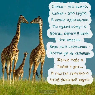 Семья — это крепость, семья — это дом. Должна быть она вам уютным гнездом!  | Открытки, Семейные дни рождения, Поздравительные открытки