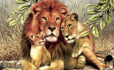 Семья львов картинки