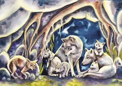 Волки нередко принимают в семью детёнышей других видов