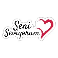 I Love You" text in Turkish "Seni Seviyorum" on dark background Stock Photo  by © 137909490