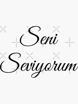 ABİCİM SENİ SEVİYORUM - 