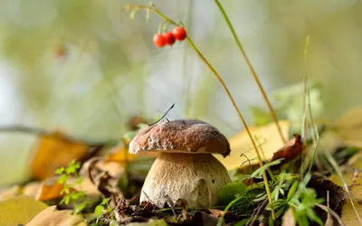 Солнечное сентябрьское утро. Фотограф Горшков Игорь