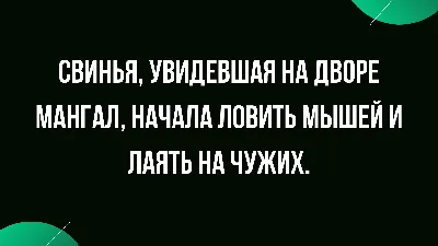 Утро с юмором: анекдоты 11 сентября - Телеграф