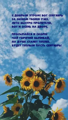 Самара | Бабьего лета не будет: сентябрь 2022 года несёт с собой погодную  катастрофу - БезФормата