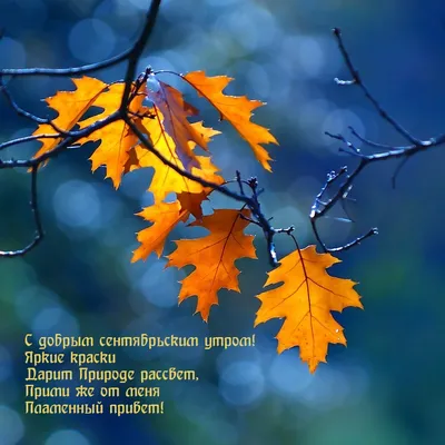 Картинки с надписью - С добрым сентябрьским утром! Яркие краски дарит  природе рассвет.