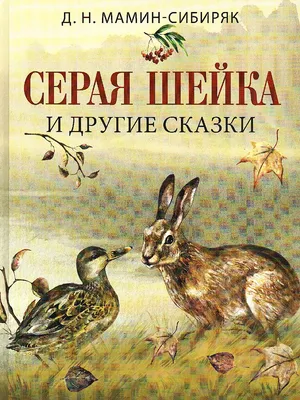 🦆 Серая шейка — самая известная сказка Мамина-Сибиряка в сопровождении  оркестра #мелодия_детям О ЗАПИСИ.. | ВКонтакте