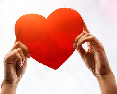 Эстетика сердечко сердце из рук | Сердце руки, Руки, Сердце