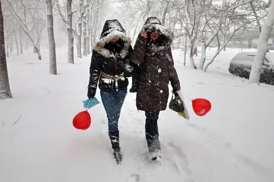 Сердце в снегу | Премиум Фото