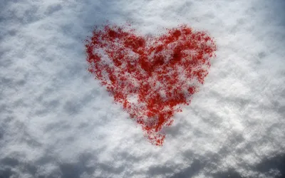 Сердце на снегу на День Святого Валентина 14 февраля - обои для рабочего  стола, картинки, фото