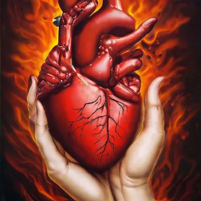 Картинка сердце в руках - 58 фото